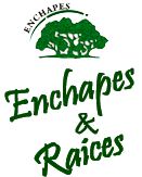 Enchapes y Raices